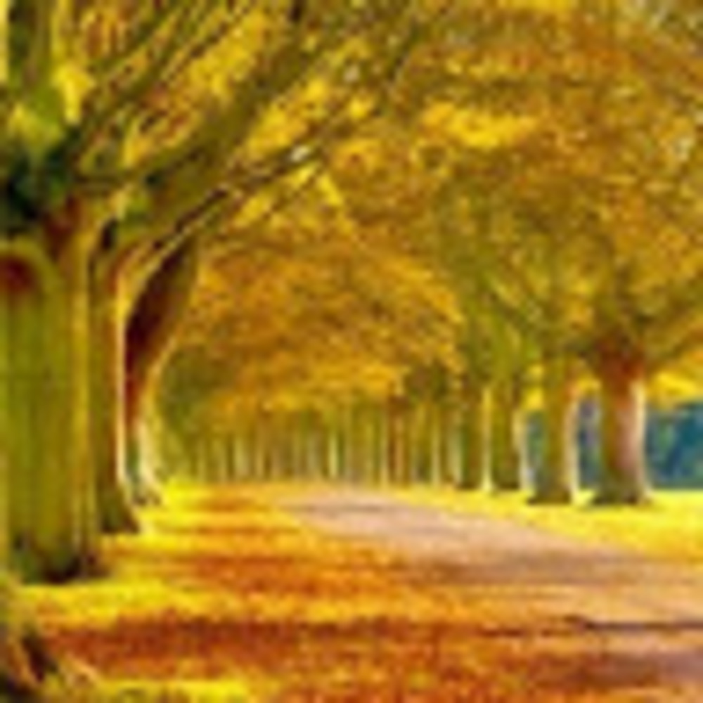 Meet your Posher, Soumya